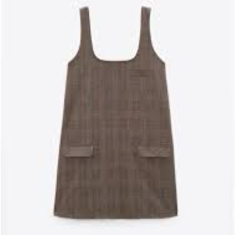 Zara Brown Mini Dress